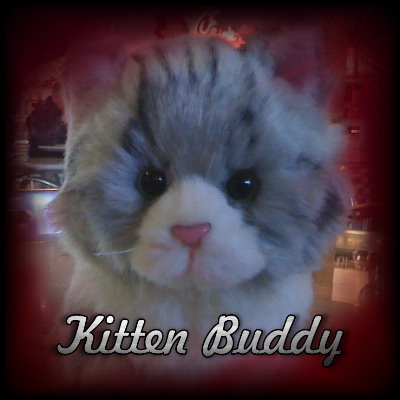 Kitten Buddy