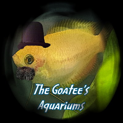 The Goatee's Aquariums'